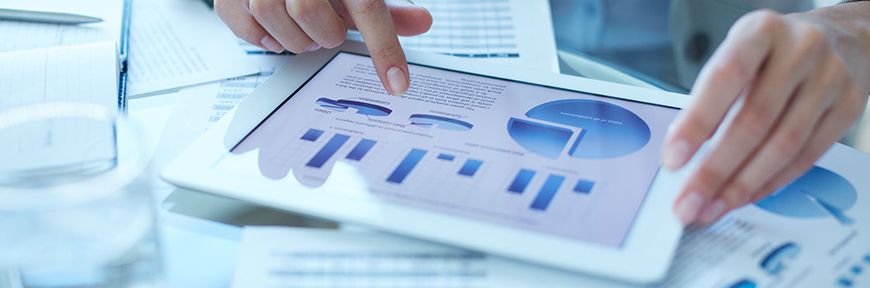 Institutional Analysis
